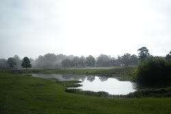 North Carolina Landscape