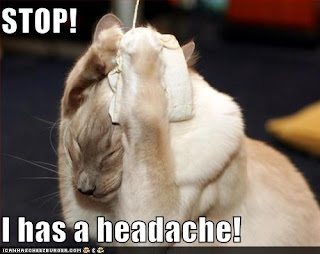 lolcat-headache.jpg