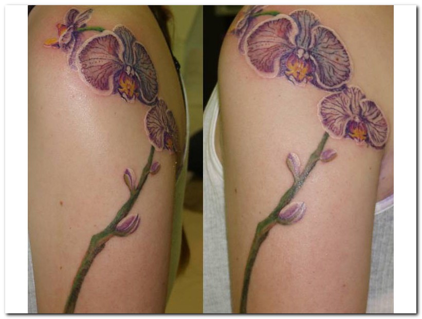 mixentry Orchid Flower Tattoos & Masculinity