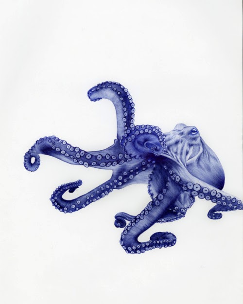 10-Octopus-Sarah-Esteje-ABADIDABOU-Hyper-realistic-Ballpoint-Pen-Animals-www-designstack-co