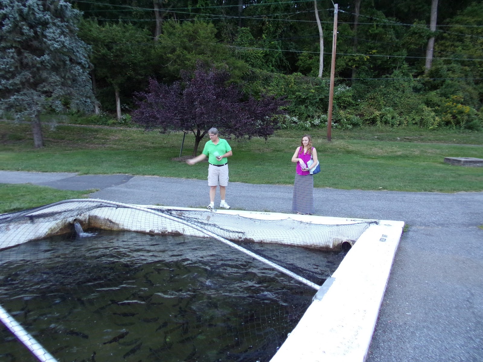 Allentown Lil' LeHi Trout Hatchery Interesting Pennsylvania and Beyond