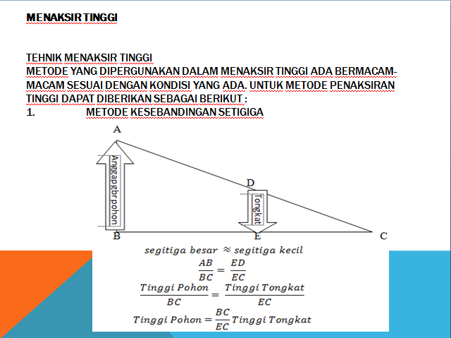 Pramuka Singkut Cara Menaksir Tinggi Dan Lebar