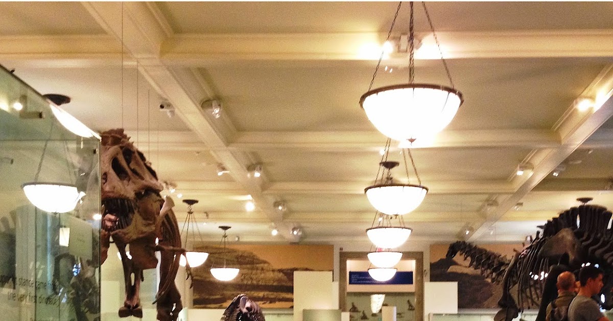 Museum Of Natural History Holden Caulfield Museum Of Natural History Holden Caulfield