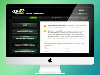 APEX Information Services
