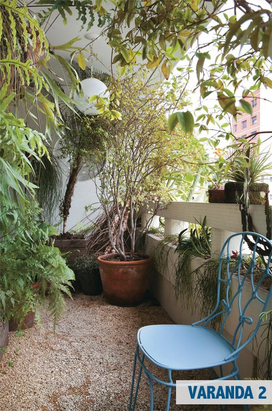 terraco jardins clinica:Espécies tropicais, como samambaia e renda-portuguesa, convivem terraco jardins clinica:Espécies tropicais, como samambaia e renda-portuguesa, convivem