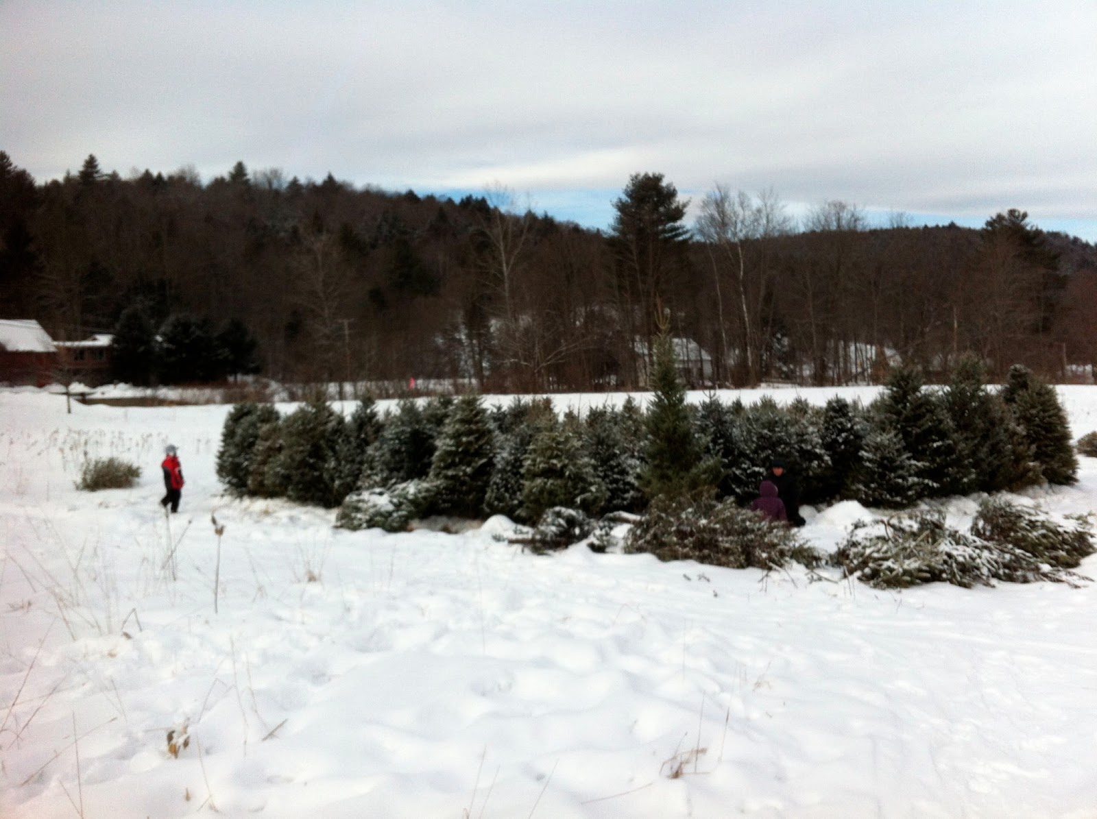 North Branch Nature Center Forest School, in the winter