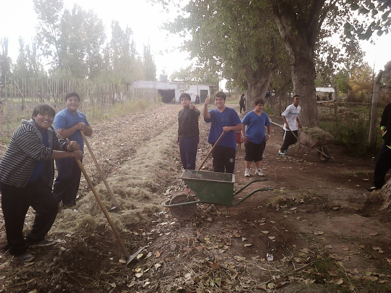 MANTENIMIENTO DE ESPACIOS VERDES Y JARDINES EN OTOÑO