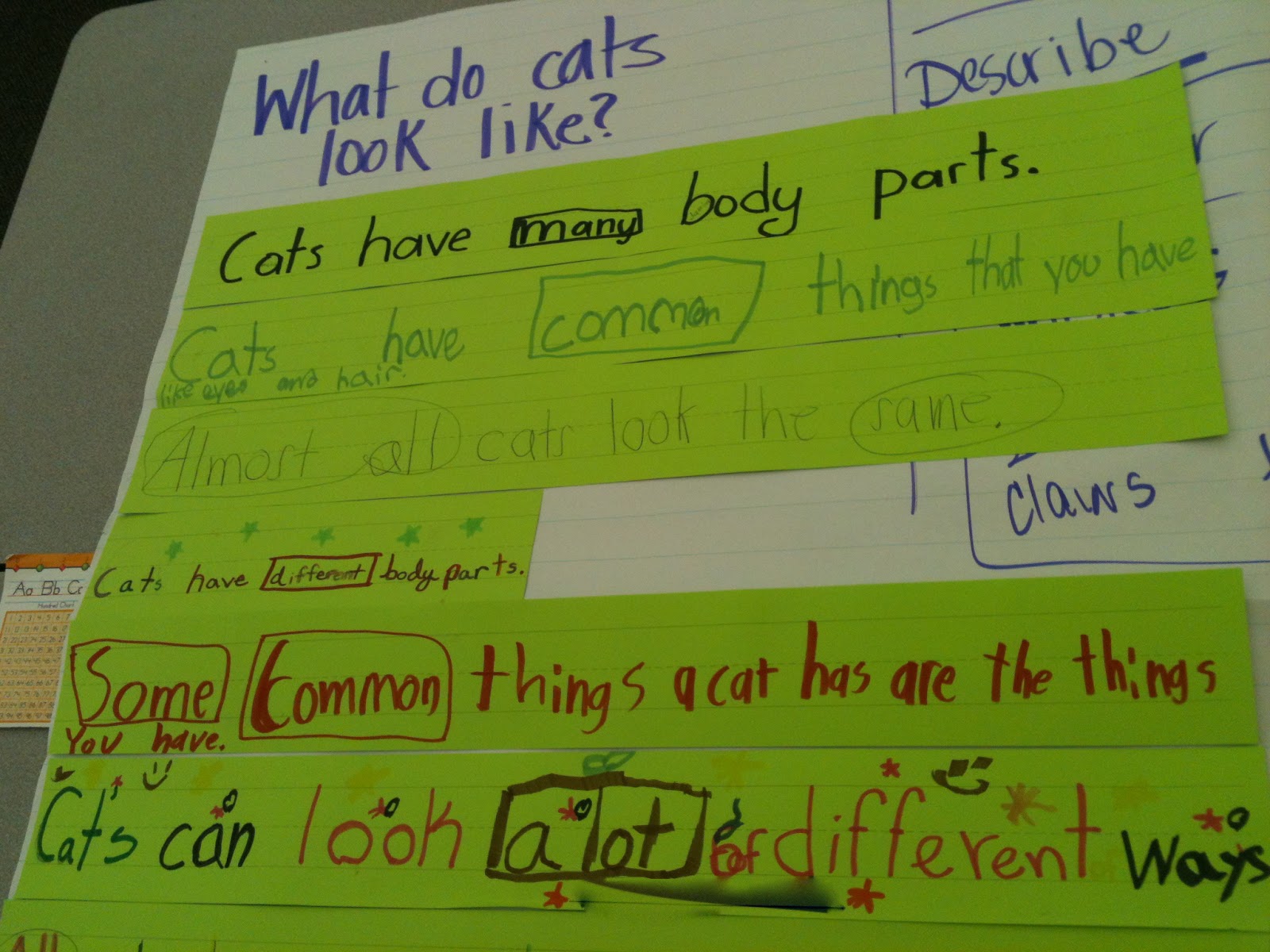 Topic Sentence Activities For 3Rd Grade