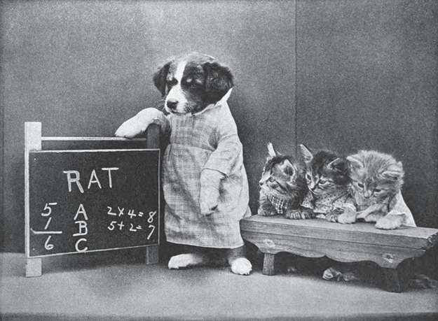 Vintage Pictures of Cats And Dogs Dressed As People ~ vintage everyday