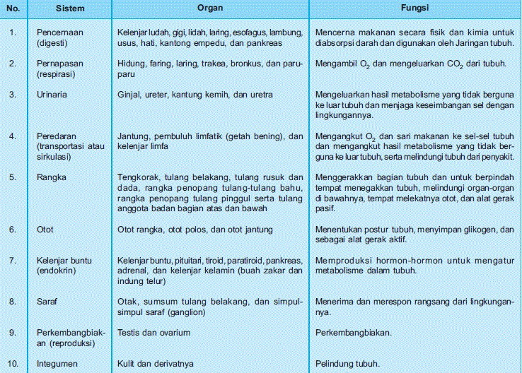 Rezky Wijaya: Sistem Organ dan Jaringan Penyusunnya