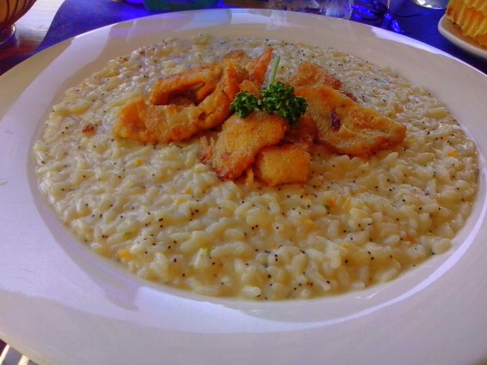 Disegno come si cucina il persico pictures : IL GRANDE COCOMERO - Blog di cucina: Un risotto al pesce persico ...