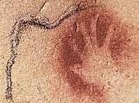 Line & hand in Chauvet cave. Line & hand in Chauvet cave.