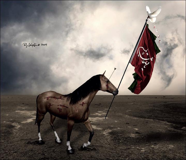 2011-11-27 ~ Labaik Ya Hussain a.s 2011-11-27 ~ Labaik Ya Hussain a.s