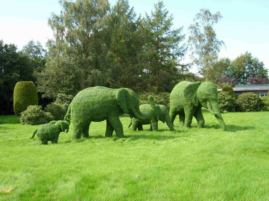 green animal garden topiary art green animal garden topiary art