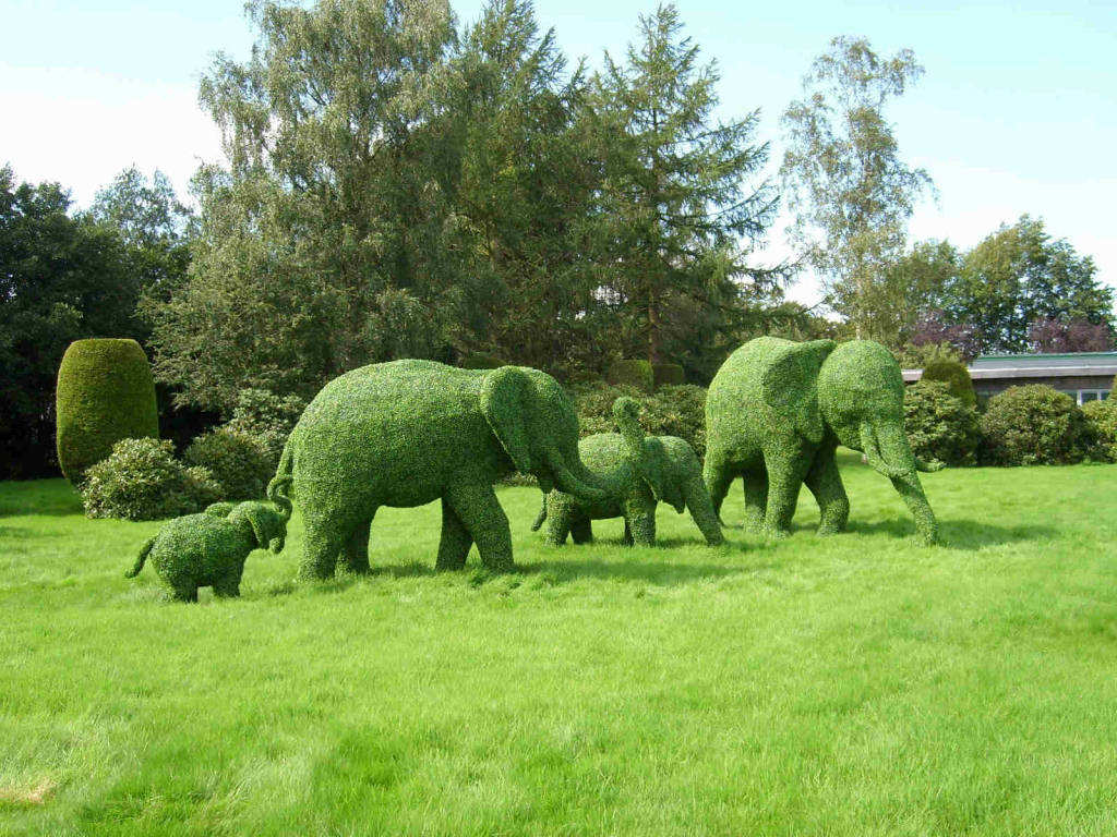 Green Animal Garden - Topiary Art