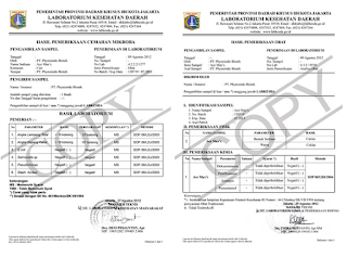 Hasil Uji Laboratorium