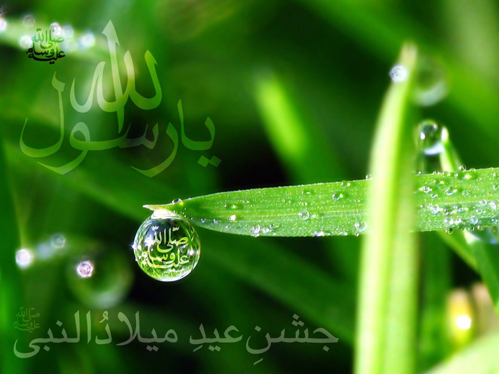 http://4.bp.blogspot.com/-5aDEEYKRQnQ/TZFhP3kuAtI/AAAAAAAAAko/JhHPo8PU8Fg/s1600/Islamic%252525252BBackground%252525252B71.jpg