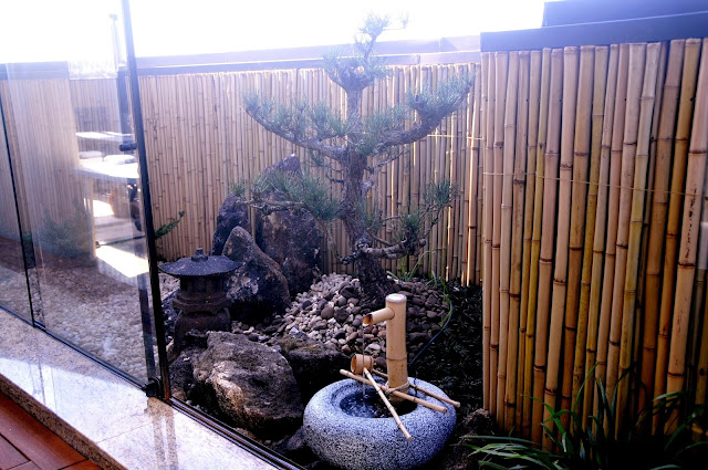 jardim japones pinheiro negro kuromatsu