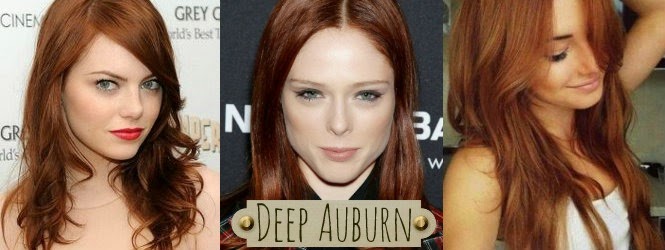 Deep Auburn Hair Colors Deep Auburn Hair Color