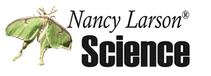 Nancy Larsen Science