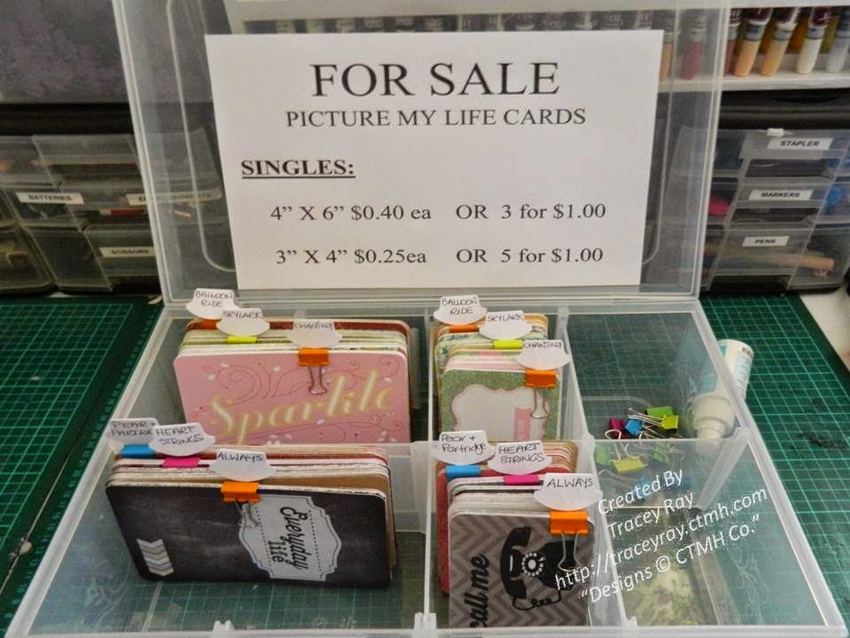 Close To My Heart Card Making Ideas Part - 33: CRAFT STORAGE IDEAu0027S - CLOSE TO MY HEART PICTURE MY LIFE - MEDIUM ORGANISER