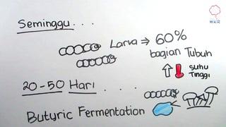 Misteri Kematian