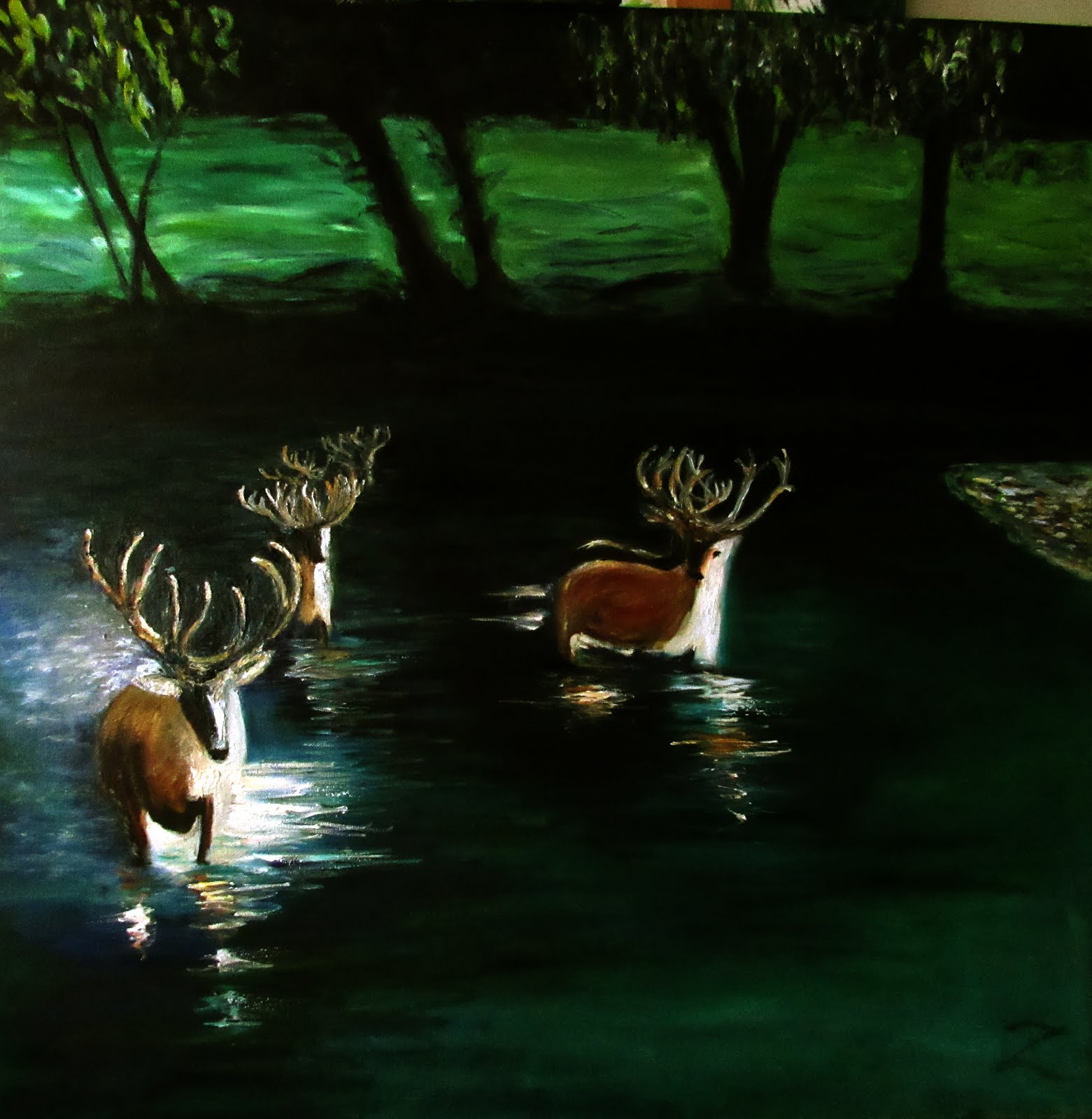 Deer in Water #2