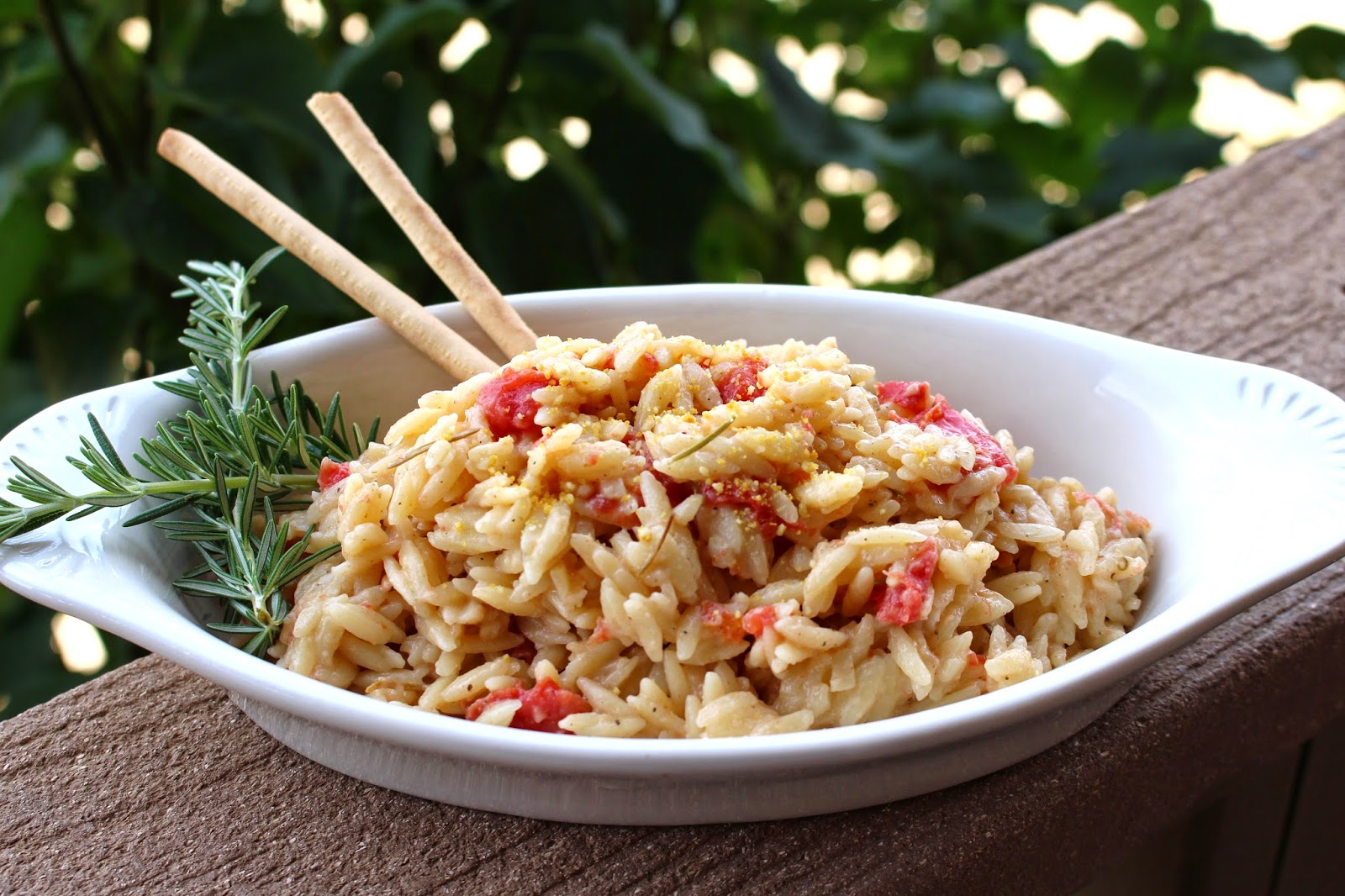 My Delicious Vegan Diary Alfredo Tomato Orzo
