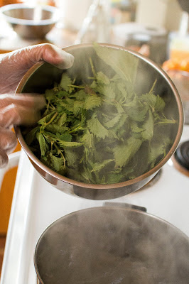 nettle soup, boiling nettles