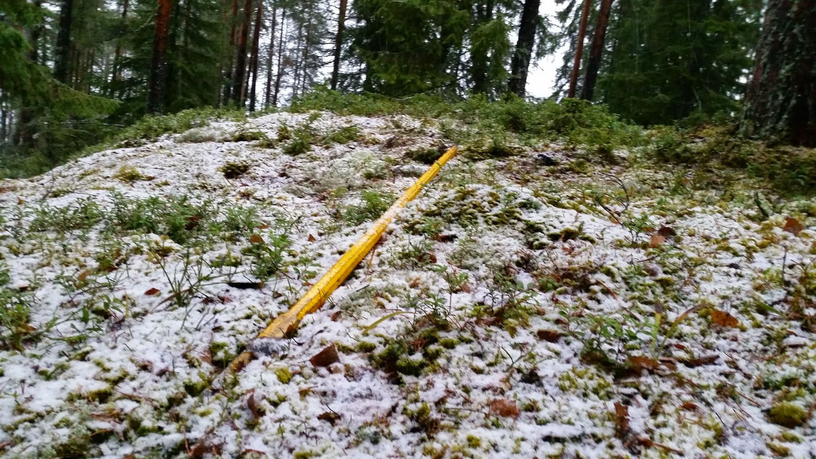 viime hetken äkkilähdöt järvenpää viime hetken äkkilähdöt järvenpää