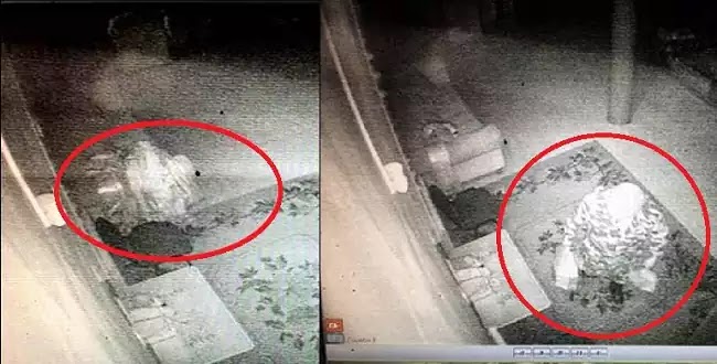 ΒΟΥΔΙΣΤΗΣ ΛΑΜΑ ΕΜΦΑΝΙΣΤΗΚΕ 89 ΧΡΟΝΙΑ ΜΕΤΑ ΤΟ ΘΑΝΑΤΟ ΤΟΥ- ΟΙ ΝΤΟΠΙΟΙ ΠΡΟΕΙΔΟΠΟΙΟΥΝ ΟΤΙ ΕΡΧΕΤΑΙ ΠΟΛΕΜΟΣ ΒΟΥΔΙΣΤΗΣ ΛΑΜΑ ΕΜΦΑΝΙΣΤΗΚΕ 89 ΧΡΟΝΙΑ ΜΕΤΑ ΤΟ ΘΑΝΑΤΟ ΤΟΥ- ΟΙ ΝΤΟΠΙΟΙ ΠΡΟΕΙΔΟΠΟΙΟΥΝ ΟΤΙ ΕΡΧΕΤΑΙ ΠΟΛΕΜΟΣ