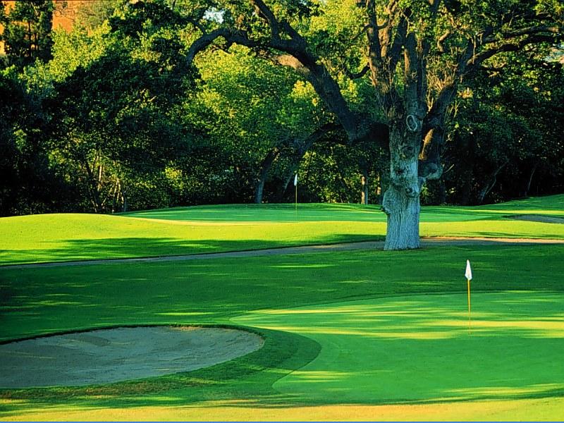 Greenery | My Wallpaper