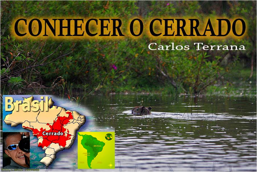 PROJETO CONHECER O CERRADO - 101 ANIMAIS QUE VIVEM NO CENTRO-OESTE DO BRASIL