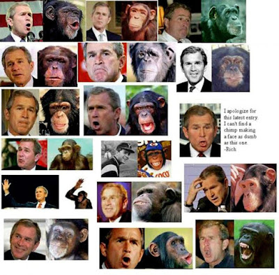 Leading I.D.ists & Creationists Admit Humans & Apes Share Common Ancestry (or at least that the evidence is not bad that they do)