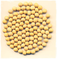 manfaat kacang kedelai manfaat kacang kedelai
