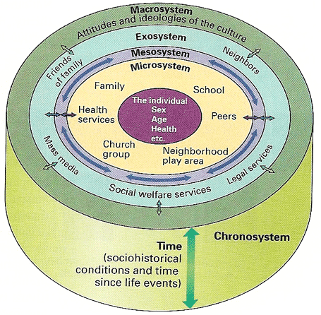 bronfenbrenners ecological theory of development These are the sources and citations used to research bronfenbrenner's ecological systems model the ecology of human development 1979 . bronfenbrenners ecological theory of development These are the sources and citations used to research bronfenbrenner's ecological systems model the ecology of human development 1979 .