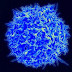 Scientists seek out cancer cells hiding from treatment