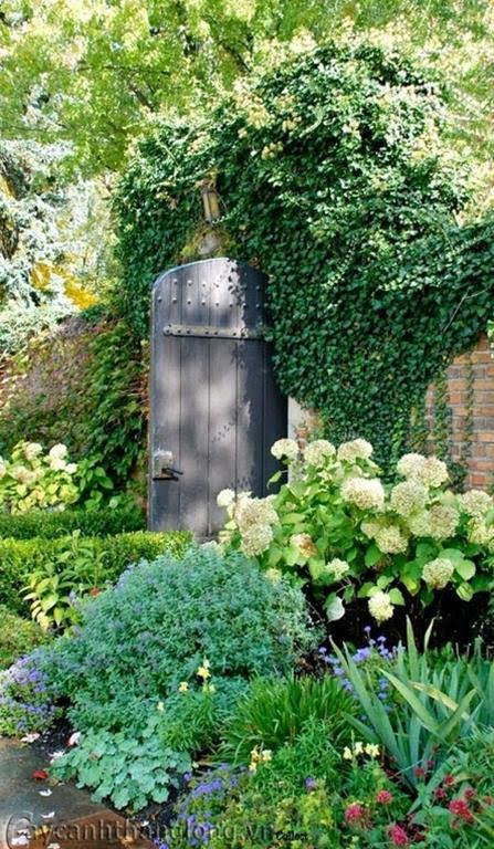 Garden Design Basics