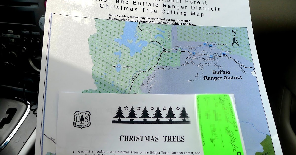 Mountain Living Adventures Cutting Down Our Own Christmas Tree