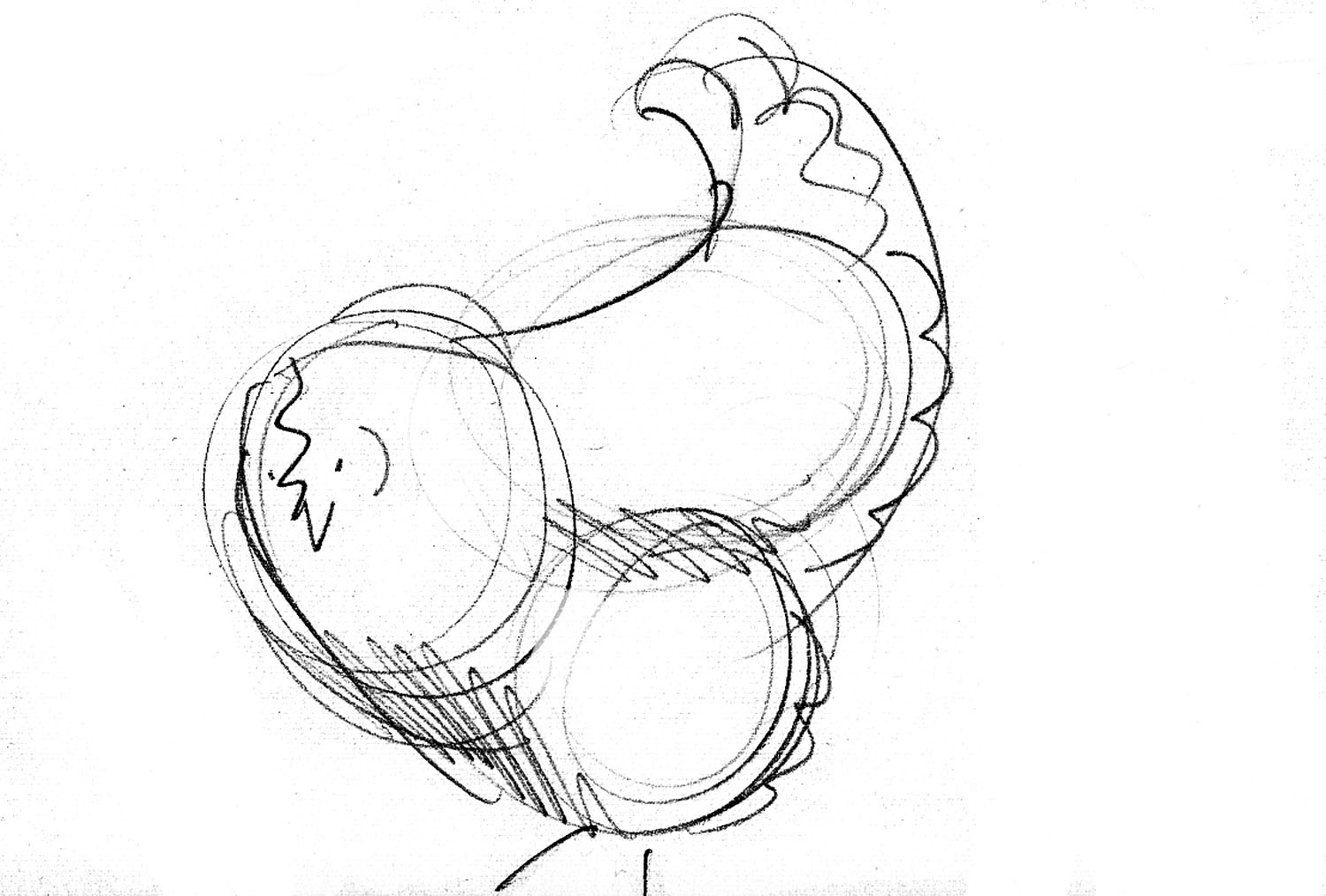 dont forget the flip side of the chicken