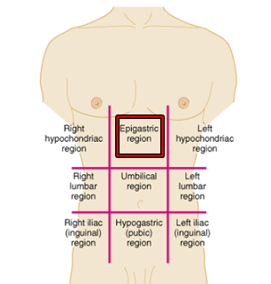 Regio Epigastrium Abdomen PENGERTIAN