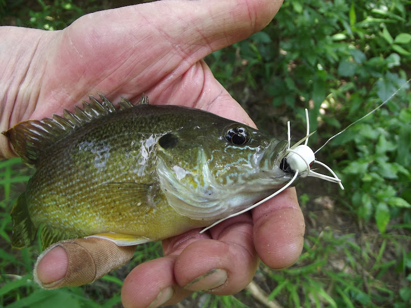 Drifting The Prairie Ocean Outdoor Journal Fly Fishing Oklahoma
