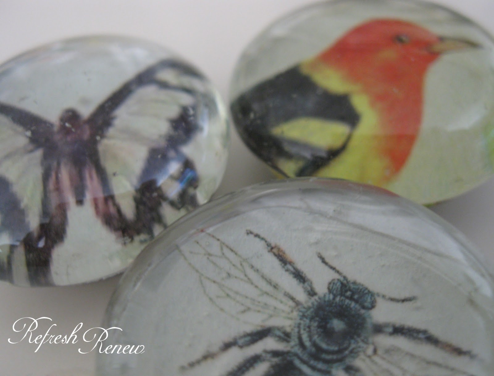 Refresh Renew Fun Glass Bead Craft