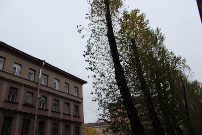 Так же статья фото Санкт-Петербурга предлагает вам посмотреть.