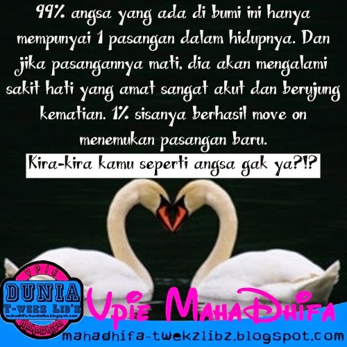 Angsa Itu Setia, Kalo Kamu?!? Pie86peE ~ Vpie MahaDhifa