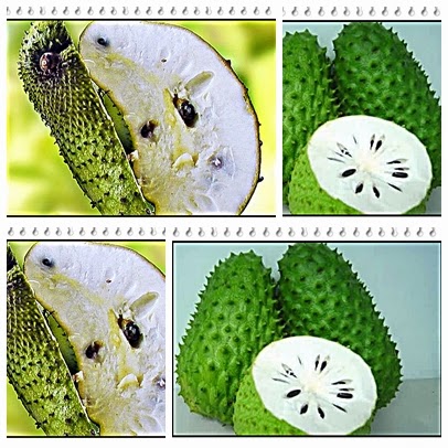 buah sirsak mencegah kangker buah sirsak mencegah kangker