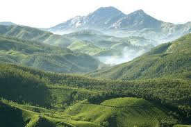 munnar hill station of kerala is one of the best tourist places in india
