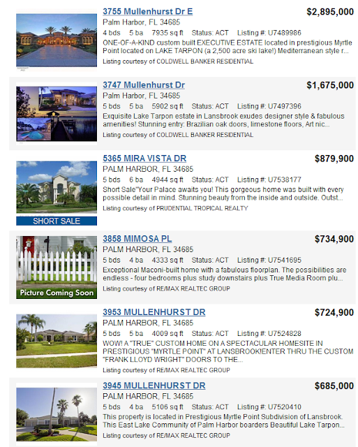 Myrtle Point at Lansbrook Lake Tarpon Exquisite Homes