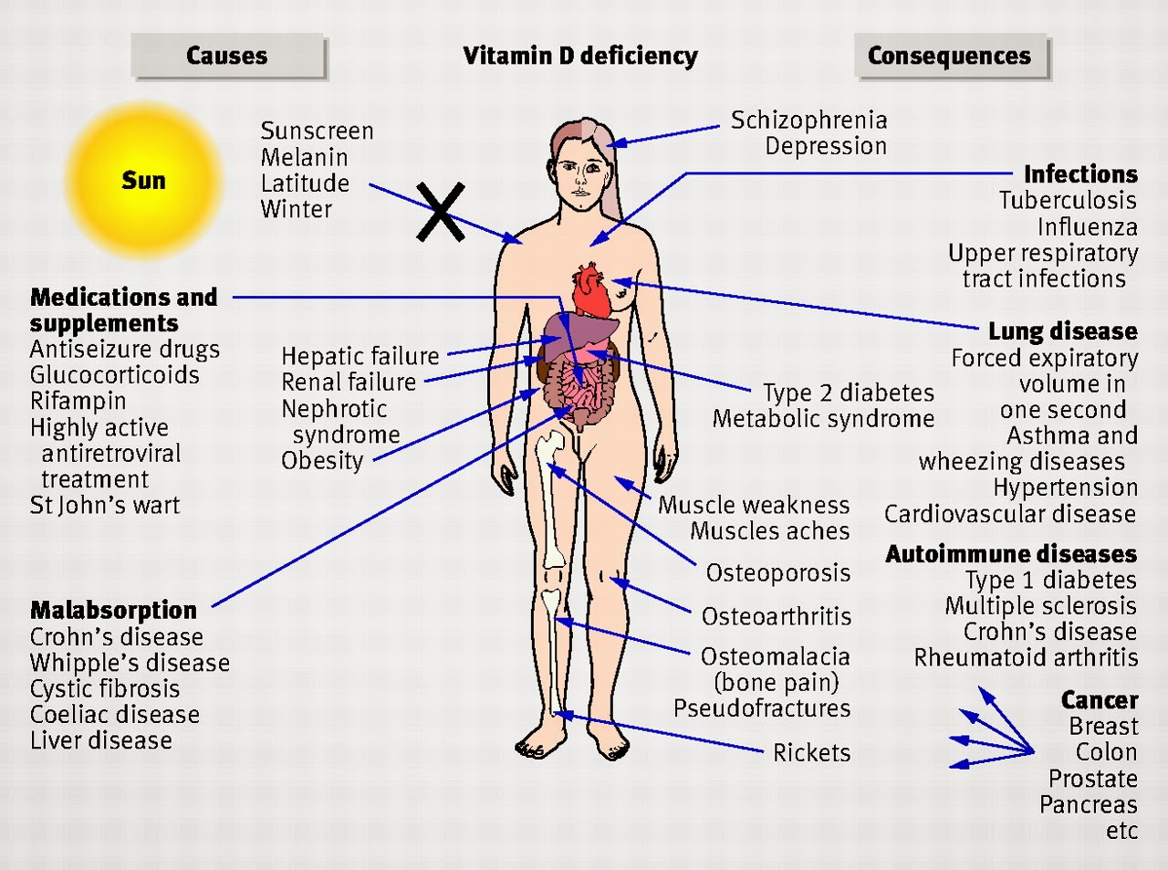 Kat's Almost Purrfect World How Vitamin D2 Saved Me