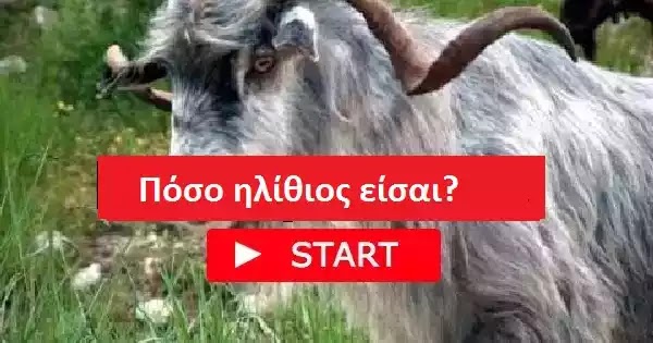 Πόσο ηλίθιος είσαι? Πόση επίγνωση έχεις του φυσικού σου κόσμου? KANE TO ΤΕΣΤ!!! Πόσο ηλίθιος είσαι? Πόση επίγνωση έχεις του φυσικού σου κόσμου? KANE TO ΤΕΣΤ!!!